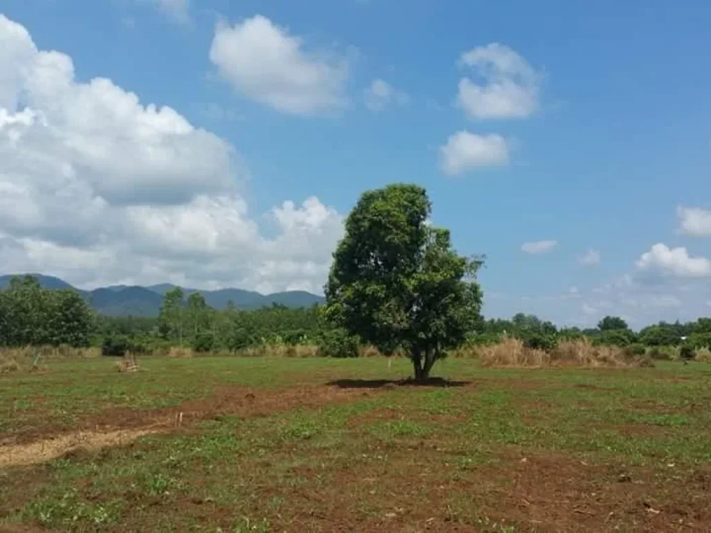 ที่ดินราคาถูกๆสวยๆ มี 3 แปลง บ้านมืดกาพัฒนา ออินทขิล อแม่แตง จเชียงใหม่