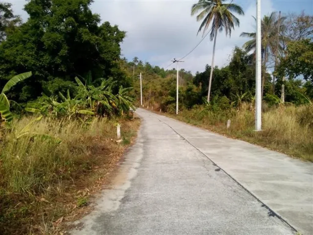 ที่ดินเห็นวิวทะเล ราคาถูก ใกล้ท่าเรือเฟอร์รี่