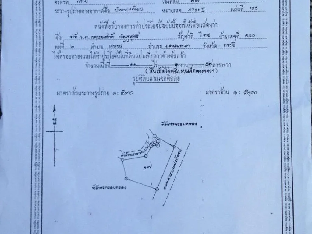 ขายที่สวนปาล์ม 11 ไร่ 1 งาน 7 ตรว