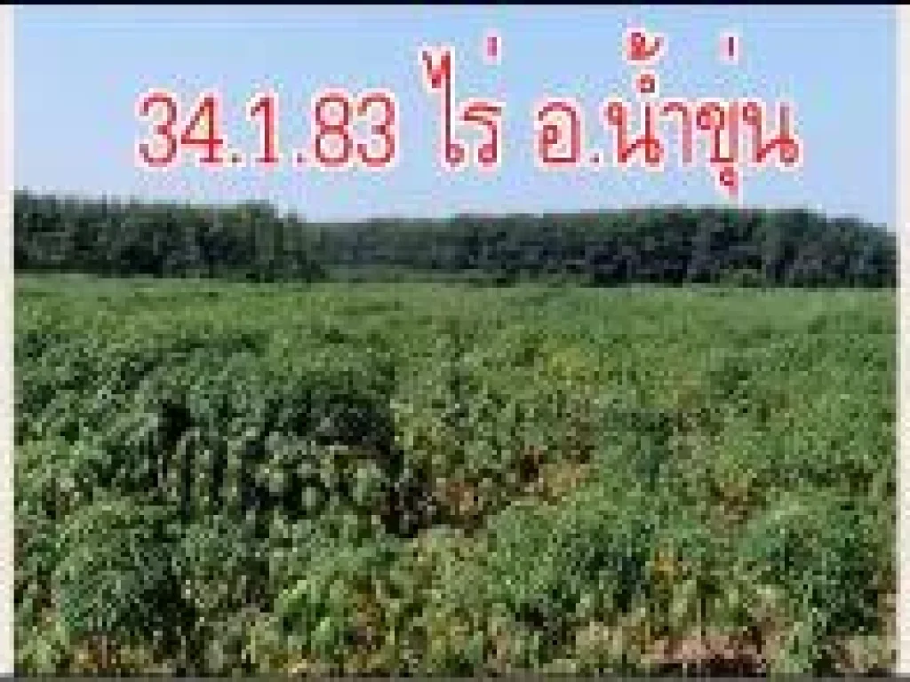 POP-109 ที่ดิน 34183 ไร่ ตตาเกา อน้ำขุ่น จอุบลฯ ห่างทางหลวงแผ่นดินสายเดชอุดม-น้ำยืน 14 กม ขายยกแปลง ไร่ละ 43 แสน