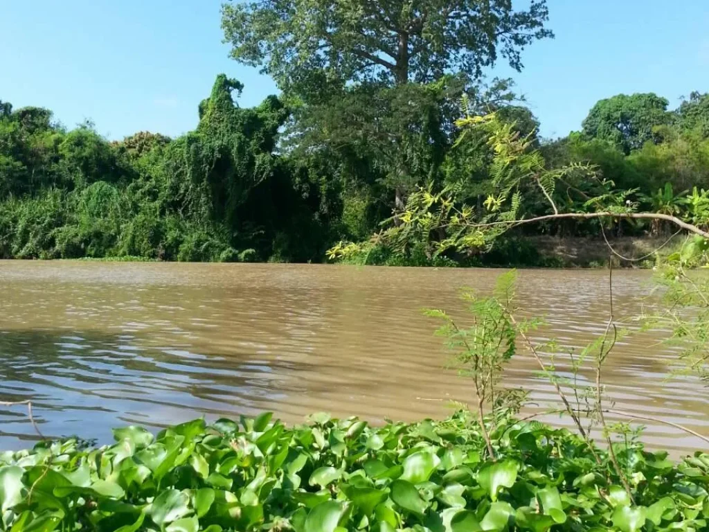 ที่ดินริมแม่น้ำ สวย ถูก สำหรับบ้านในฝัน