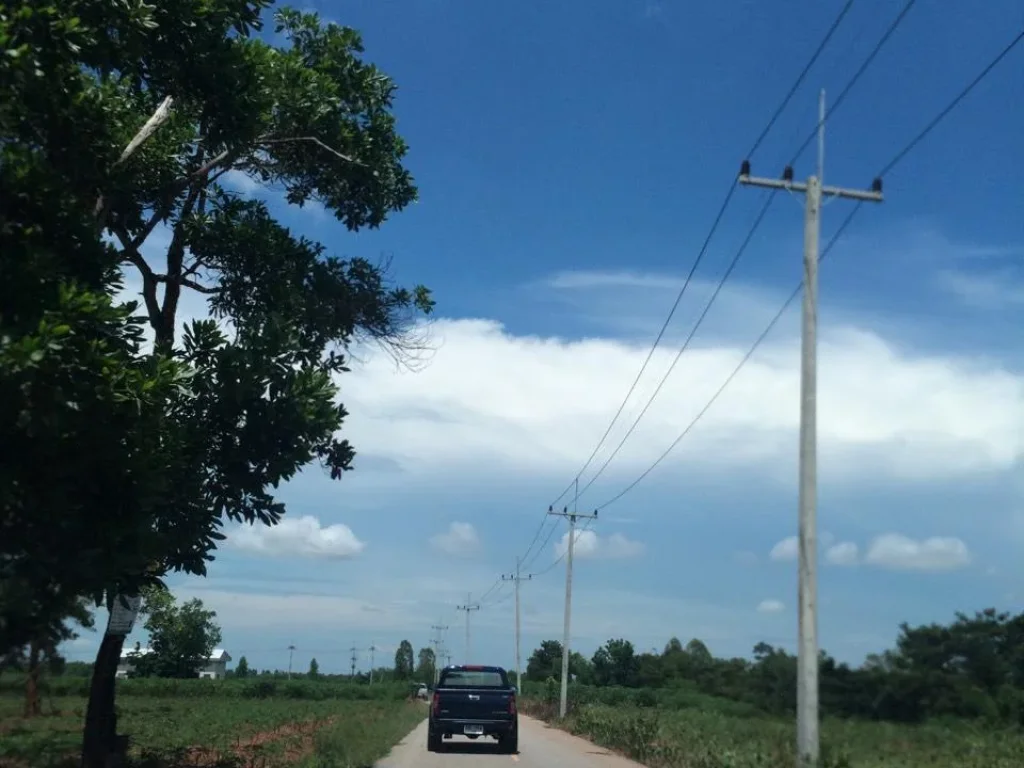 ที่ดิน 335ไร่ ราคาถูก ติดถนนลาดยาง ไฟฟ้า 3เฟส เสมอถนน ทำเลดีมาก ราคาถูกสุดในพื้นที่ค่ะ