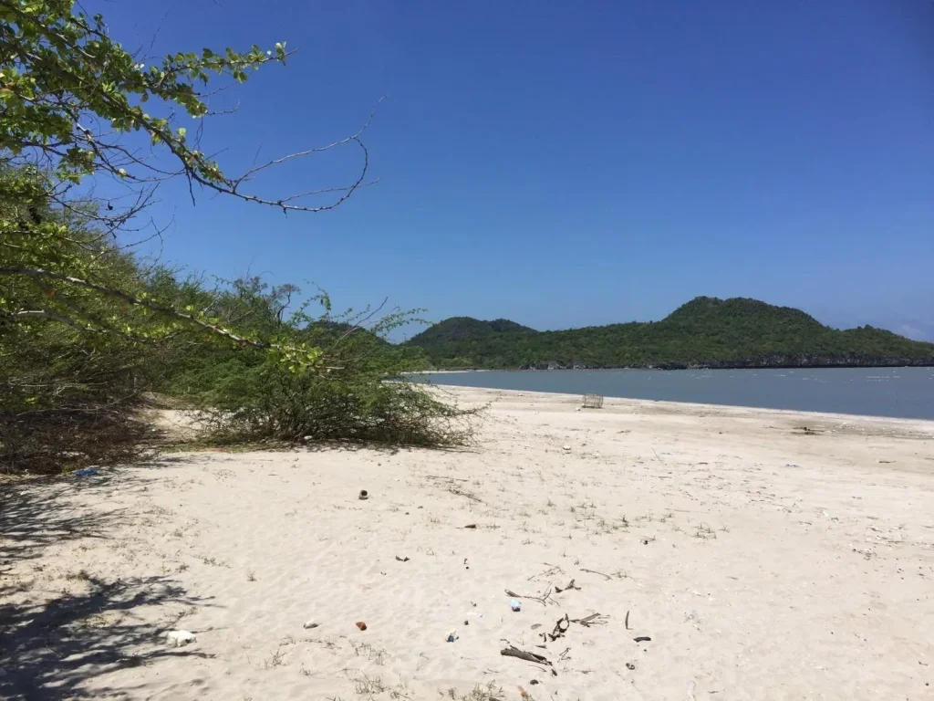 ที่ดินติดทะเล หาดส่วนตัว ราคาลดพิเศษ