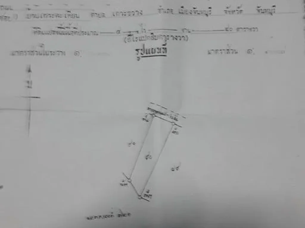 ขายสวนผลไม้ราคาถูกเจ้าของต้องการขายด่วน