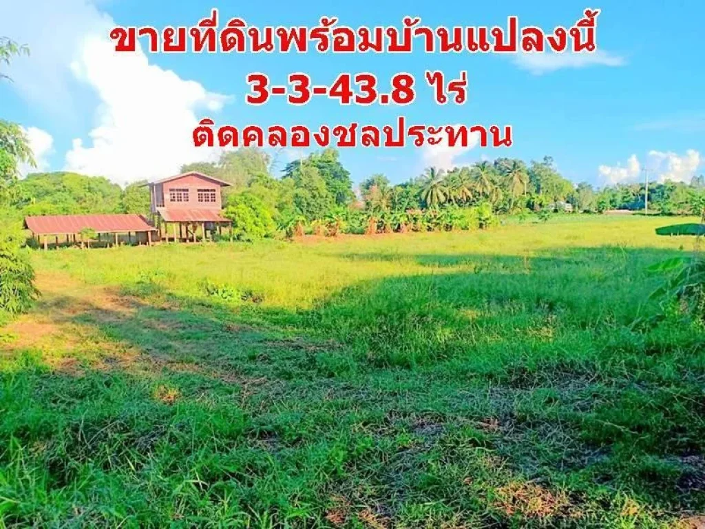 ที่ดินพร้อมบ้าน 3-3-438 ไร่ ริมแม่น้ำชี บปากเปือย ตบึงเนียม จขอนแก่น