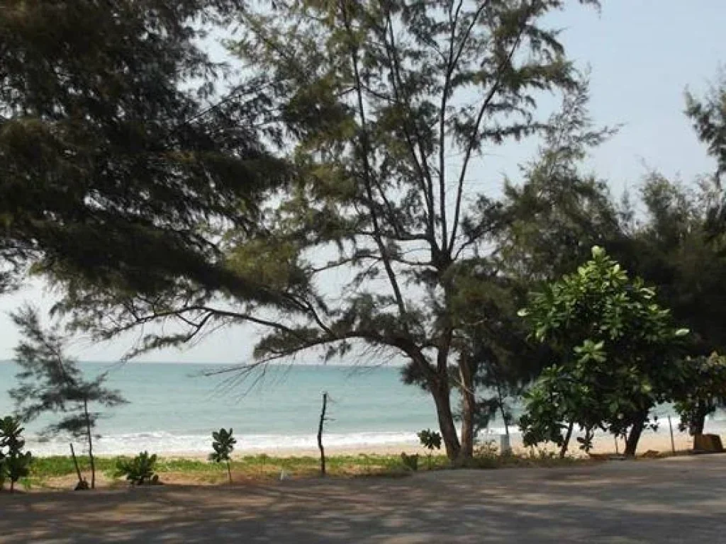 Sale The Nice Large Land Beachfront 48 Rais with Chanote