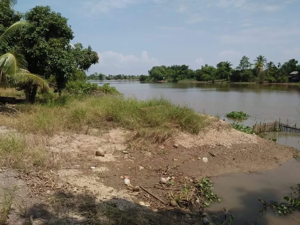 ขายที่ดินสวยติดแม่น้ำบางปะกง เนื้อที่ 70 ไร่ ราคาถูกมาก