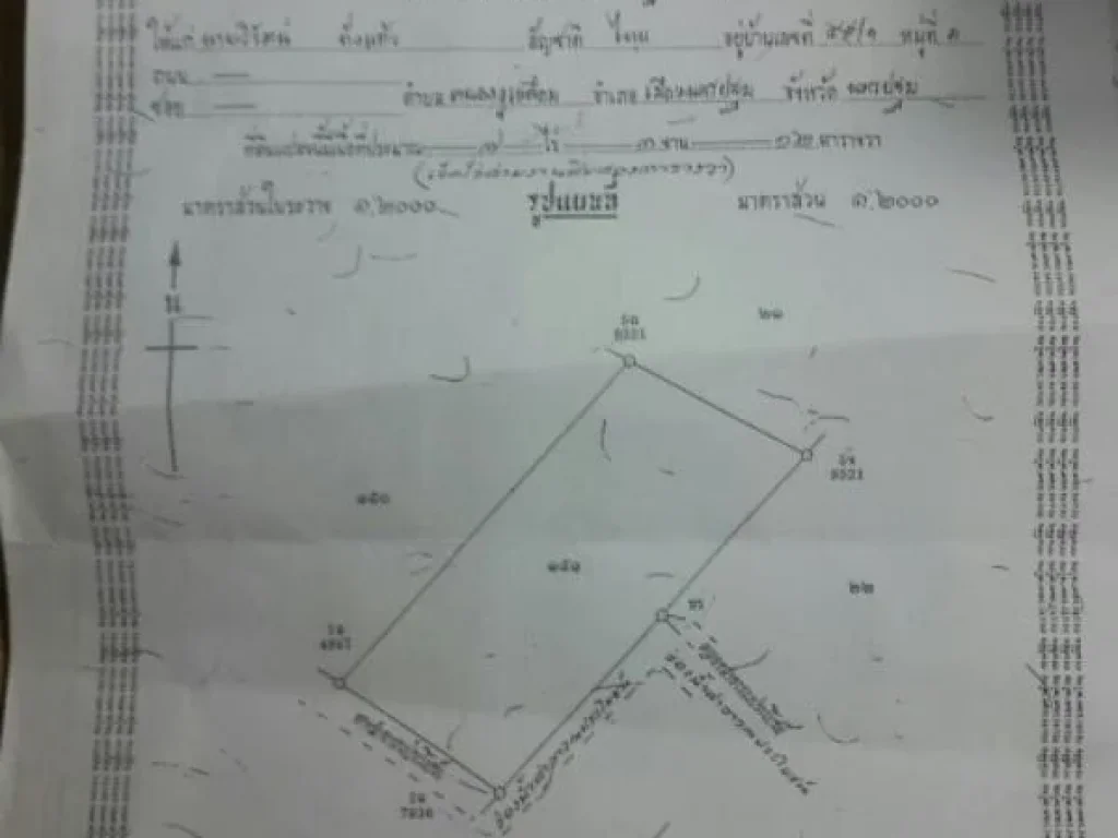 ขายที่ดิน 7 ไร่ 2 งาน ตหนองงูเหลือม