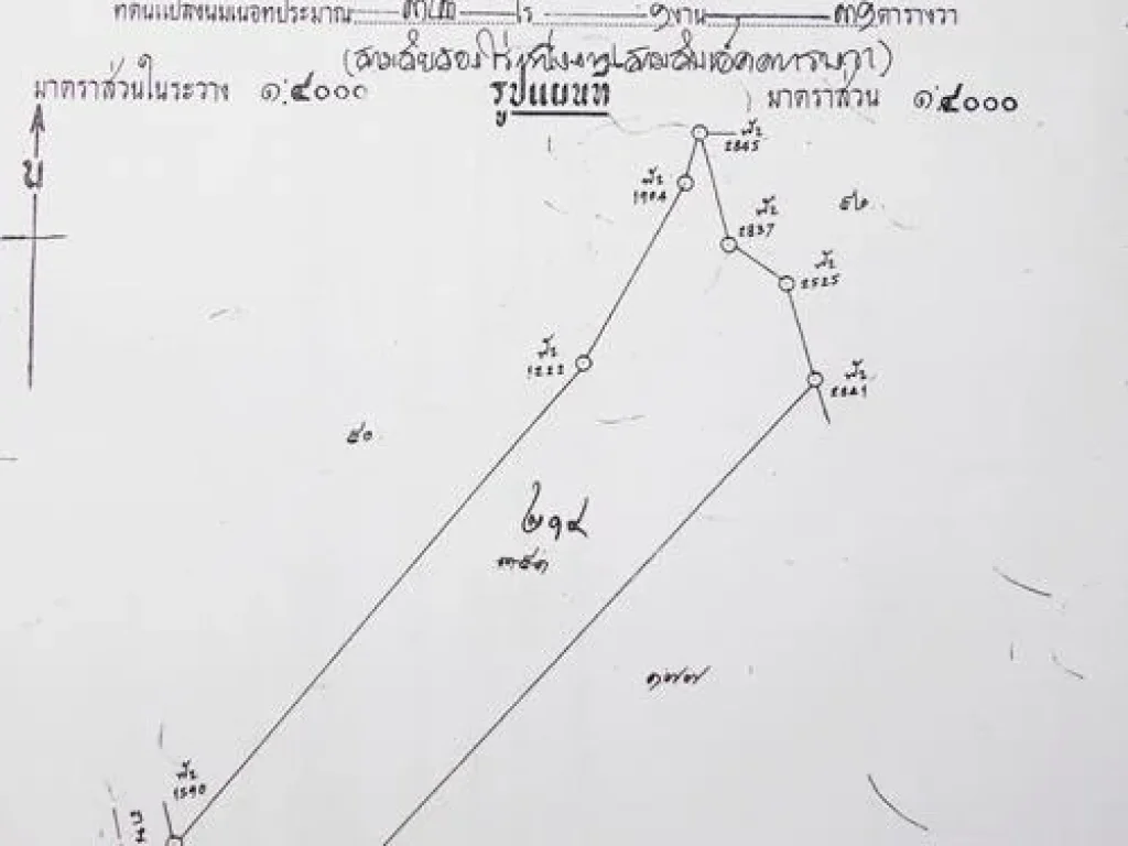 ขายที่ดิน ถนนหลวงพ่อปาน ตบางเพรียง อบางบ่อ จสมุทรปราการ ใกล้วัดบางเพียง เข้าออกได้หลายเส้นทาง