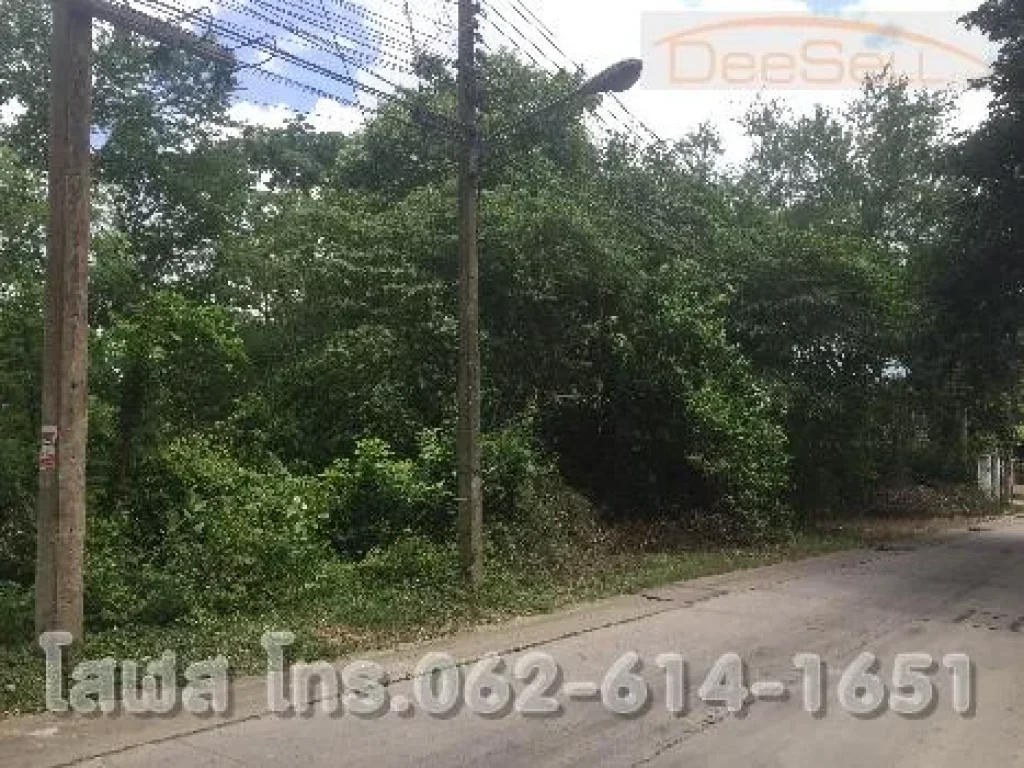 ขายที่ทำเลดีสระบุรี ถมิตรภาพ ใกล้สถานีรถไฟชุมทางแก่งคอย ห่างตัวเมือง12กม 1ไร่ 2งาน 97ตรว 697ตรวๆละ13000บ แปลงสวยถมแล้ว เหมาะทำรีสอร์ท บ้านเช่า