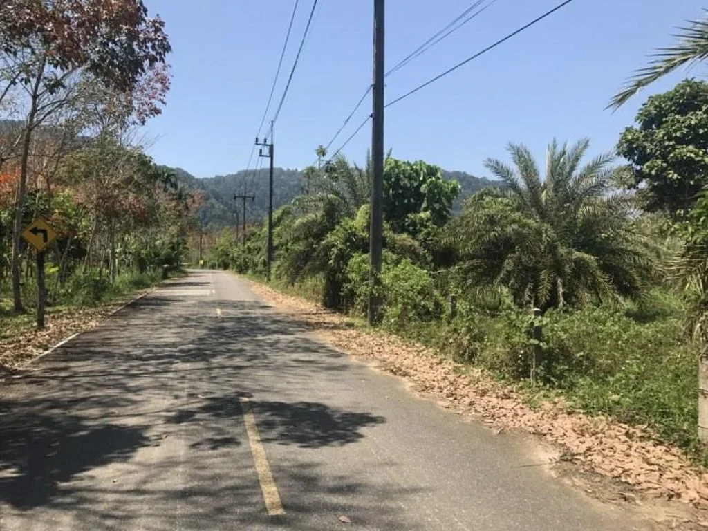 ขายที่ดินถลาง ในซอยบางโรง-นาเหนือ ใกล้ท่าเทียบเรือบางโรง เนื้อที่ 2ไร่ ขาย 4 ล้านไร่