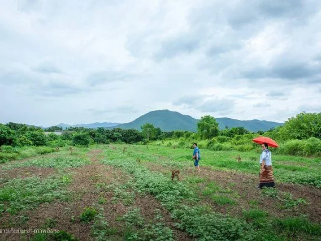 ที่ดินปลูกบ้านตากอากาศ 475 ตรววิวภูเขาล้อมใกล้อ่างเก็บน้ำแม่เมย ใกล้ทล1033 ระยะทาง300เมตร เข้าเมืองลำพูน 18 กม