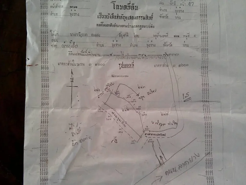 ที่ติดลำธารมีน้ำตลอดทั้งปี