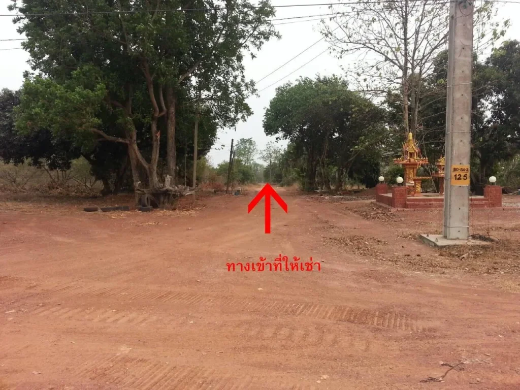 ที่ดินห่างนิคมโรจนะปราจีนบุรี 3 กิโลเมตร บนถนน 304 ห่างหน้าถนนประมาณ 50 เมตร