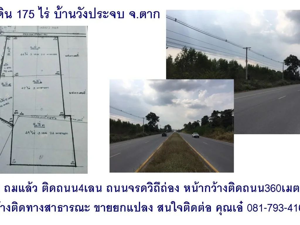 ขายที่ดิน 175 ไร่ บ้านวังประจบ จตาก