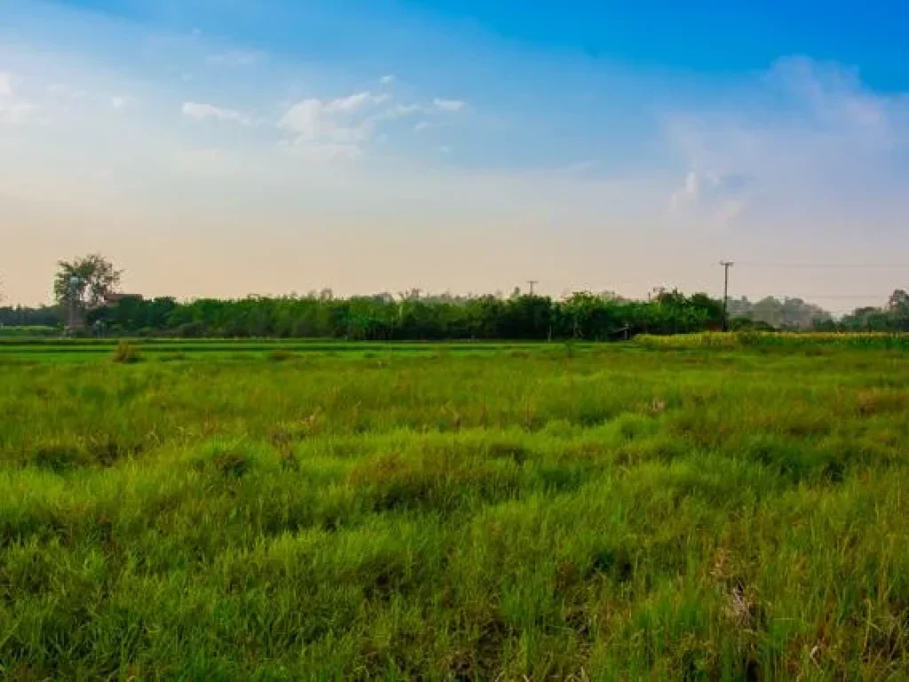 ที่ดินราคางาม ใกล้ราชภัฏเชียงใหม่ อำเภอแม่ริม จังหวัดเชียงใหม่ ใกล้ถนน