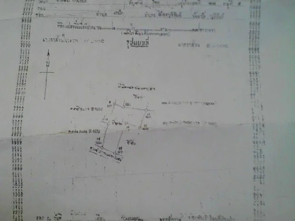 ขายที่ดิน 6 ไร่ 19 ต ร ว 2600000ไร่