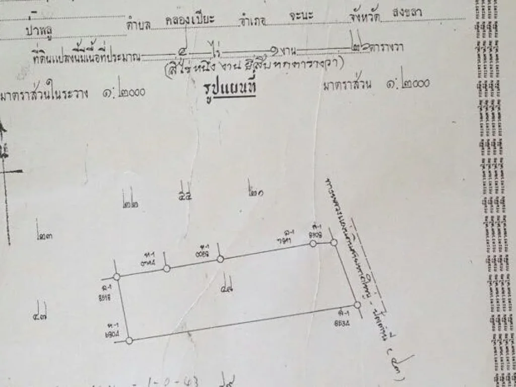 ขายที่ดิน ขายด่วน