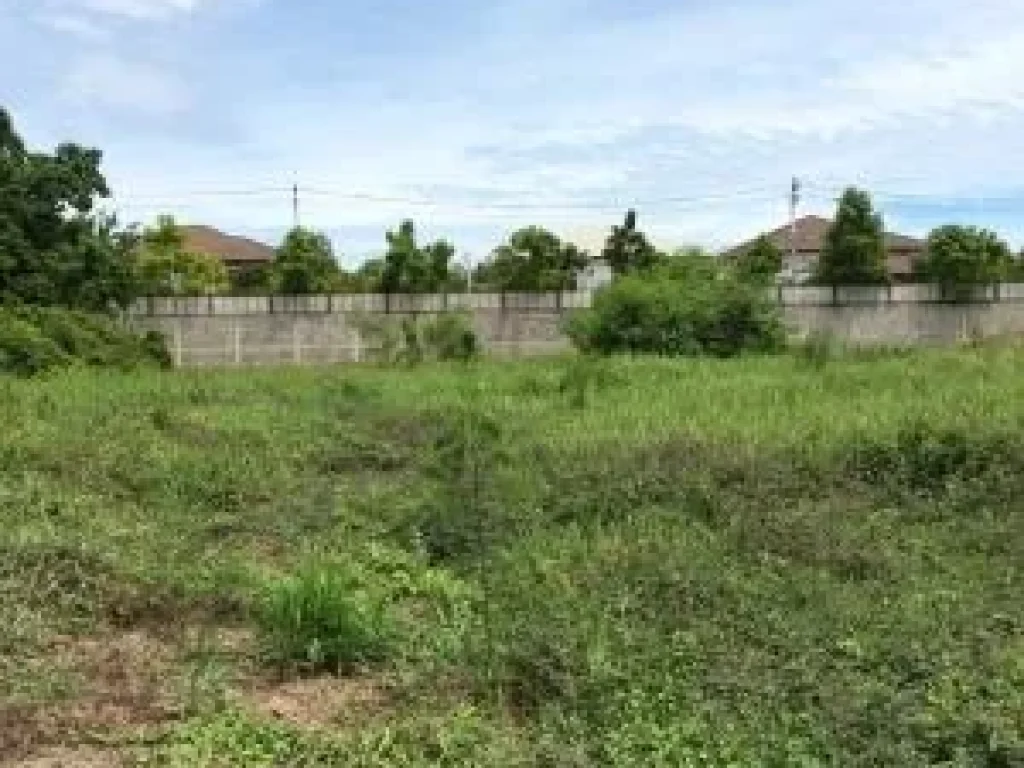  ขายที่ดิน 2 ไร่ พุทธมณฑลสาย 2 Land for sale Puthamonthon Sai 2 