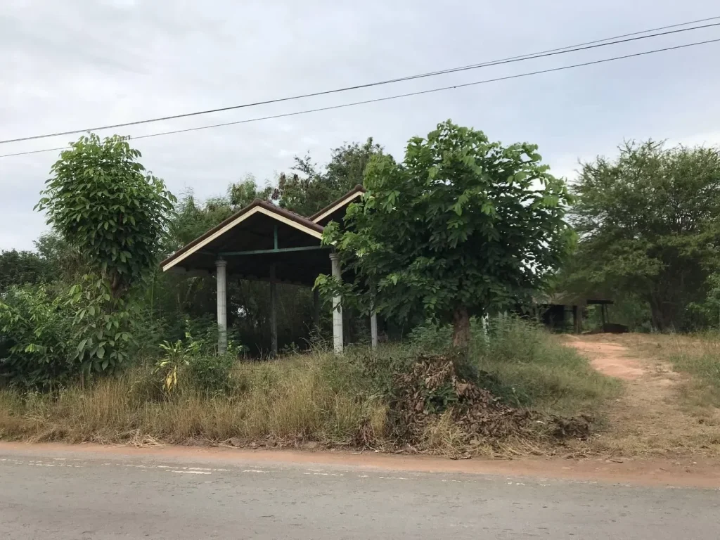 ขายที่ดิน 10 ไร่ ตหนองตะไก้ อสูงเนิน โคราช