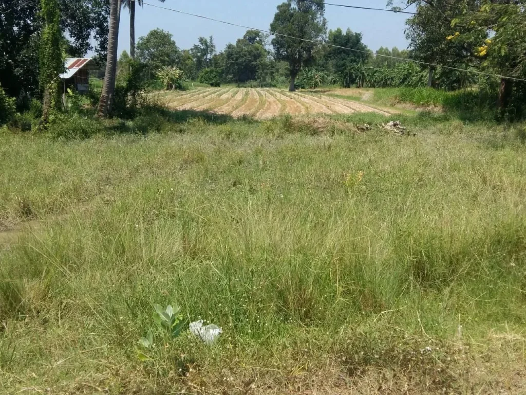 ที่ดินโซนบ้านหนองมุก