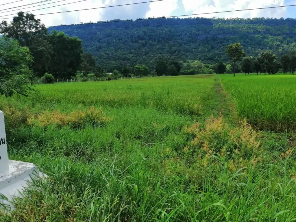 ขายที่ดินติดภูเวียง ติดถนนทางหลวงแผ่นดิน