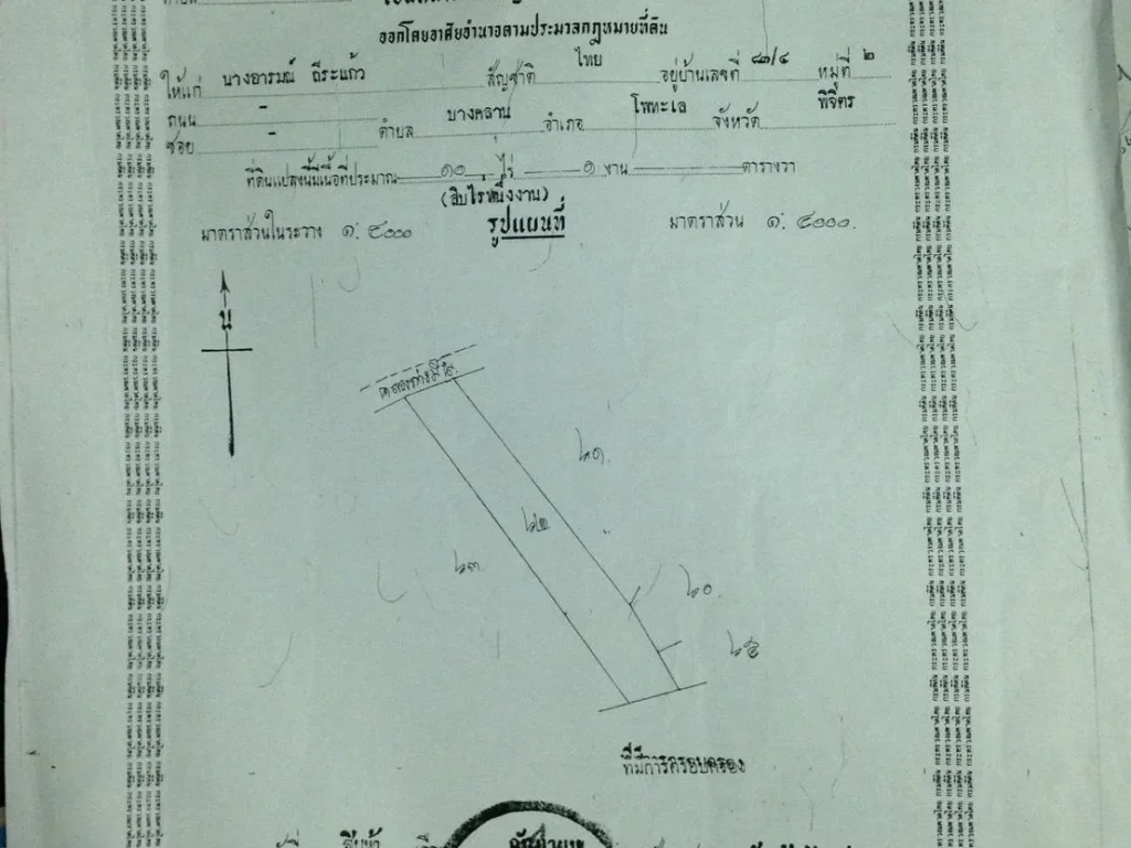 ขายที่ดิน 10ไร่ 1งาน