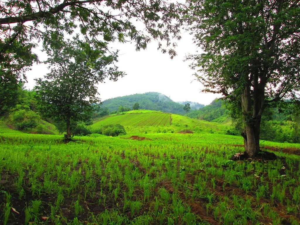 เชิญชวนทำการเกษตรสร้างชุมชนที่บ้านภูโปด