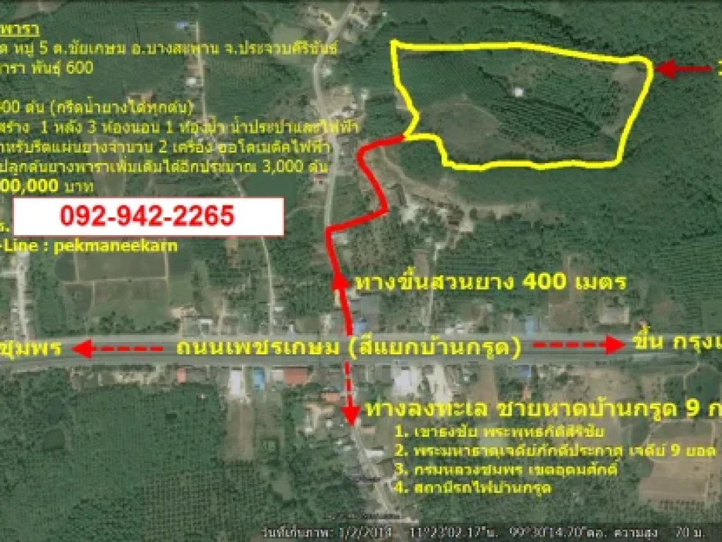 ขายที่ดินสวนยางพารา 4400 ต้น อายุ 5 - 7 ปี กรีดน้ำยางได้ทุกต้น