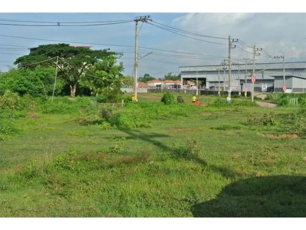 ที่ดินไร่ครึ่งเศษติดถนนรอบอำเภอเมืองจังหวัดอุดรธานี ข้างไทยวัสดุ