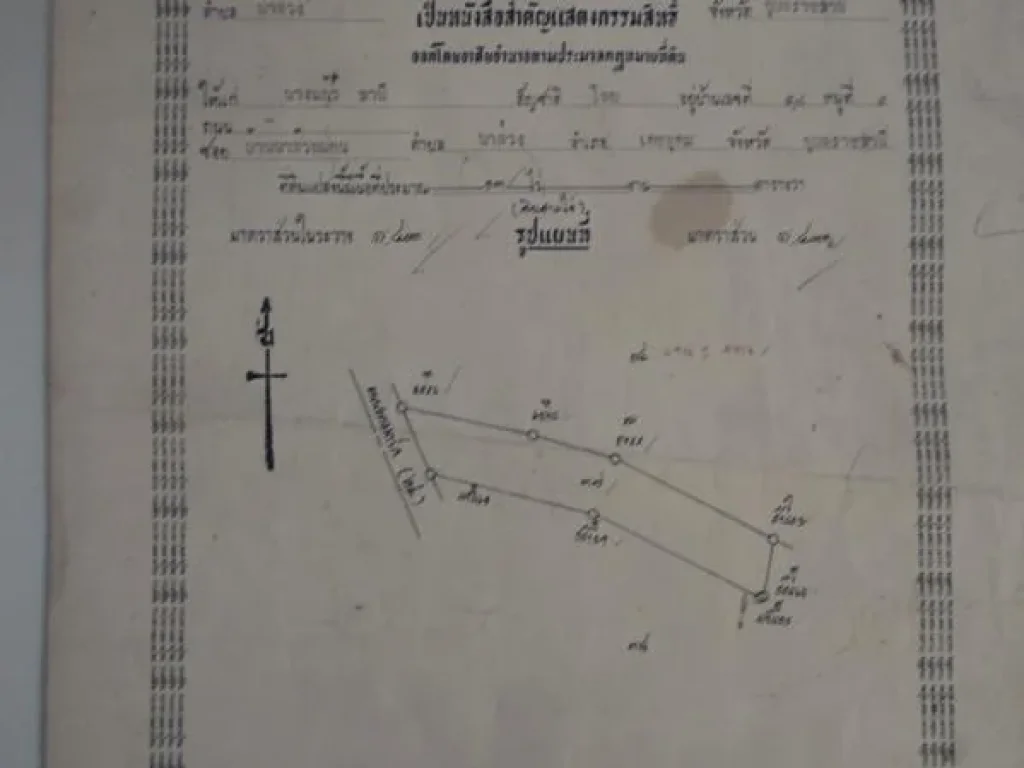 ต้องการขายที่ดิน 13 ไร่ เขตเทศบาลตำบลนาส่วง อเดชอุดม จอุบลฯ