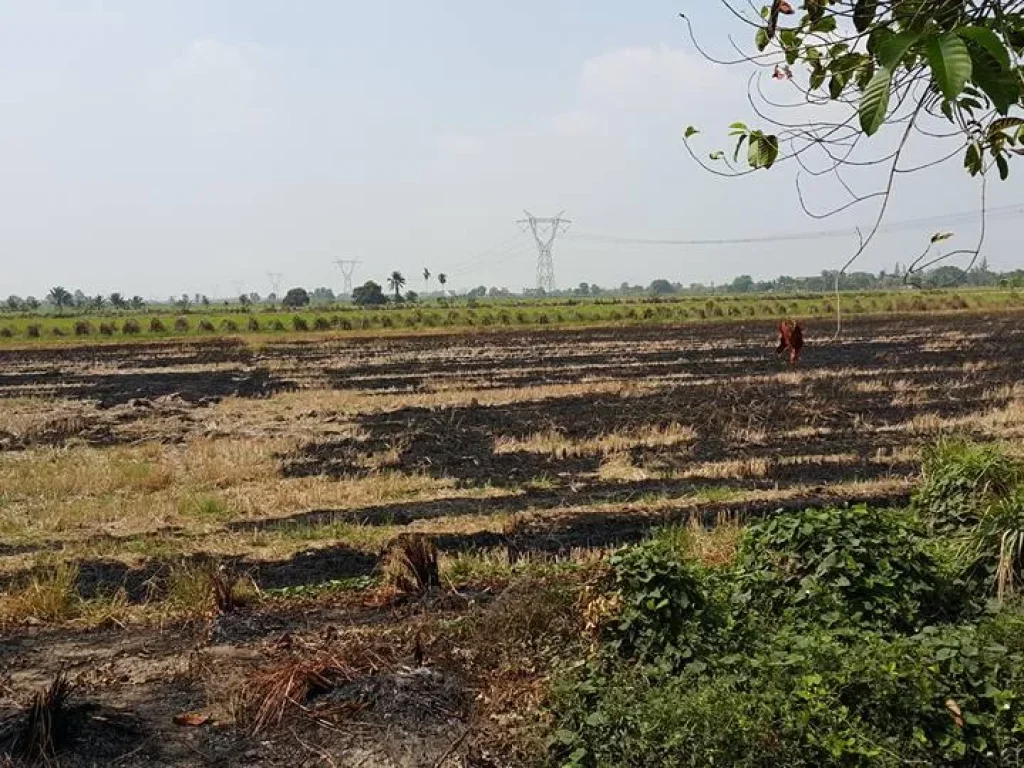 ท้ายที่ติดคลองแอน ติดถนนหินคลุกเลียบคลองแอน บรรยากาศดี น่าอยู่อาศัย