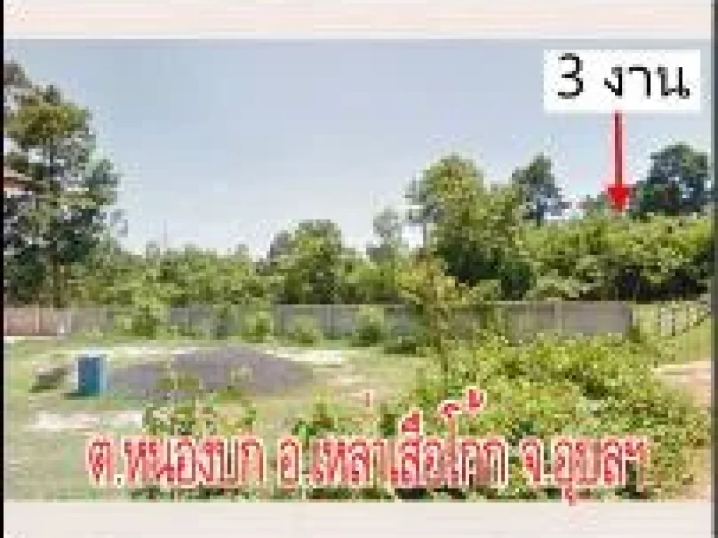 POP-312 ที่ดิน 3 งาน ตหนองบก อเหล่าเสือโก้ก จอุบลฯ ใกล้โรงเรียน 60 พรรษา ห่างถนน 2050 เพียง 400 เมตร ราคา 7 แสนบาท