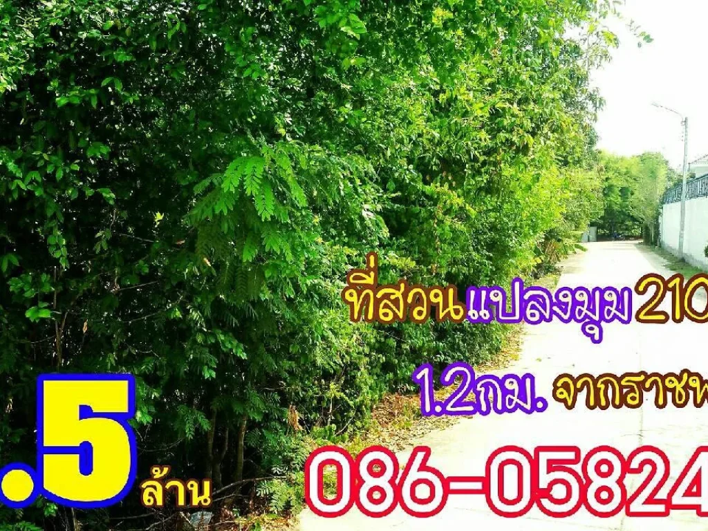 ขายที่ดินตำบลบางรักน้อย 210ตรว