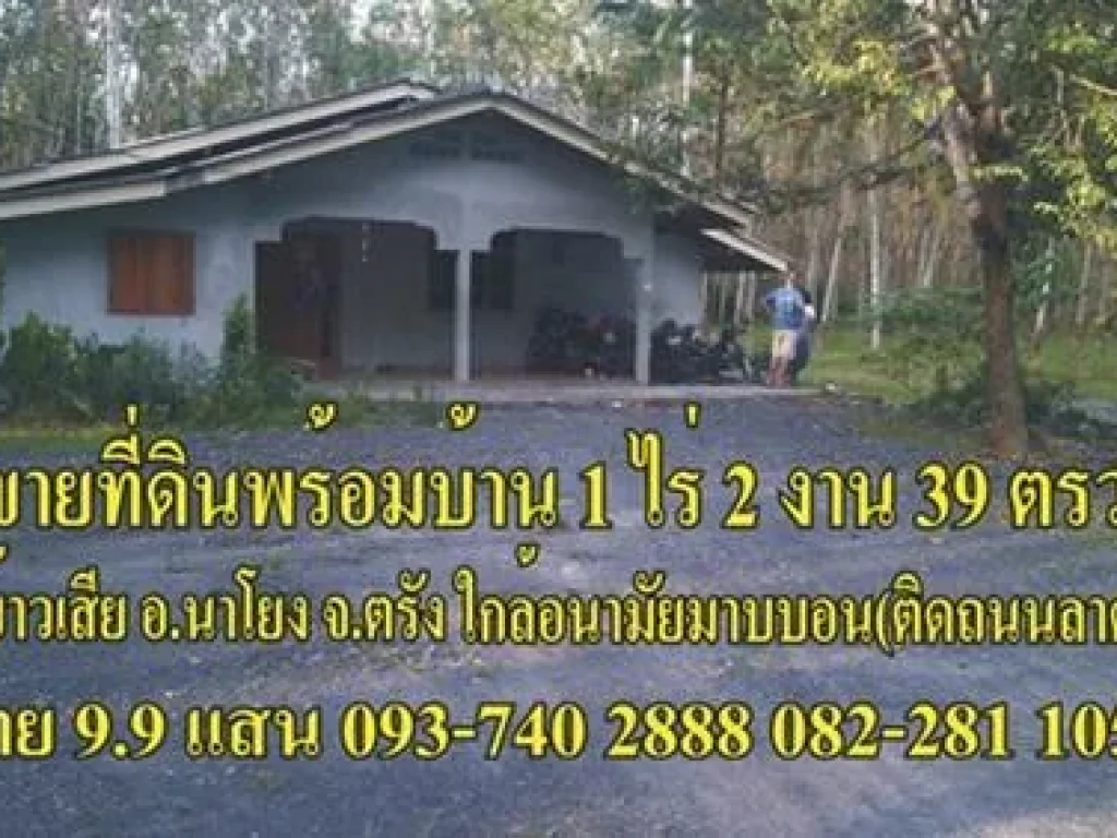 ขายบ้านที่ดินจตรัง บ้าน 1 หลัง 1 ไร่ 2งาน 23 ตรว ขาย 99 แสน