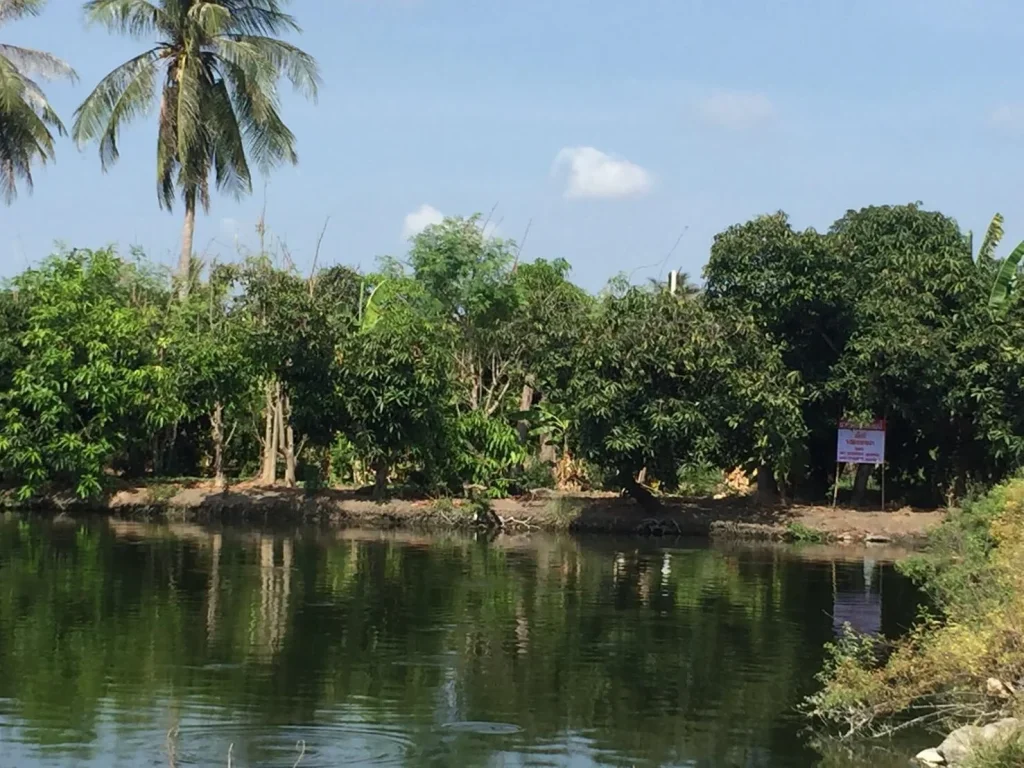 ที่ดินติดบ่อปลา ใกล้สนามบินสุวรรณภูมิ