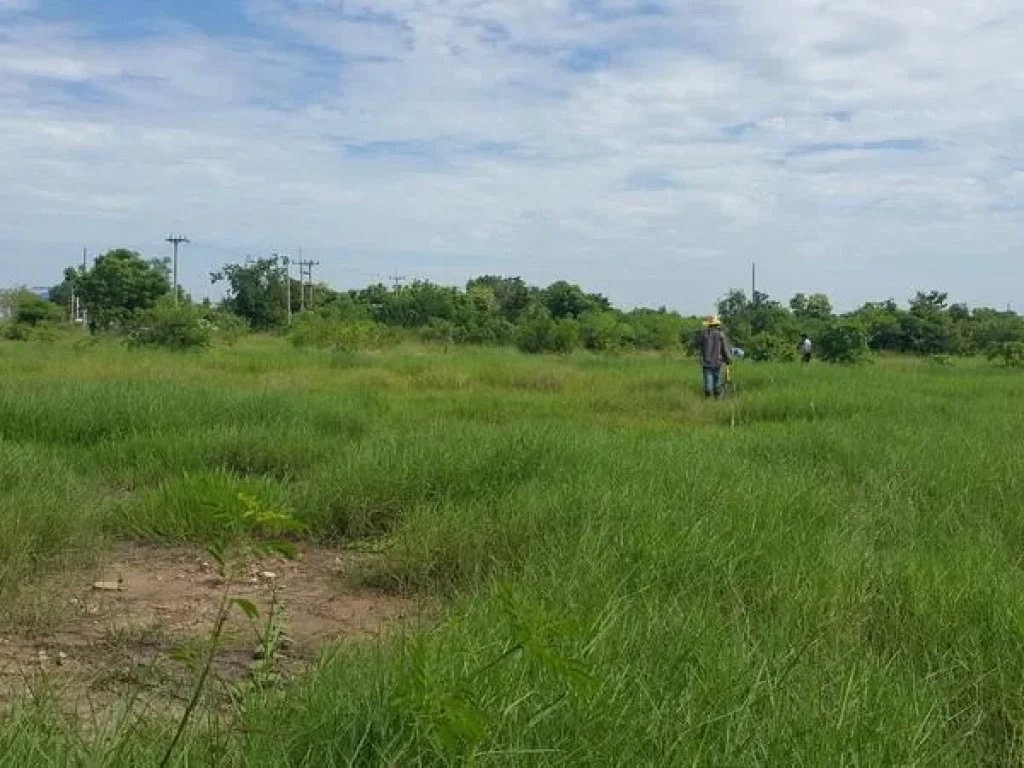 ขายที่ดินพนัสนิคม1ไร่ ใกล้ถนนศุขประยูร กำลังขยายสี่เลน