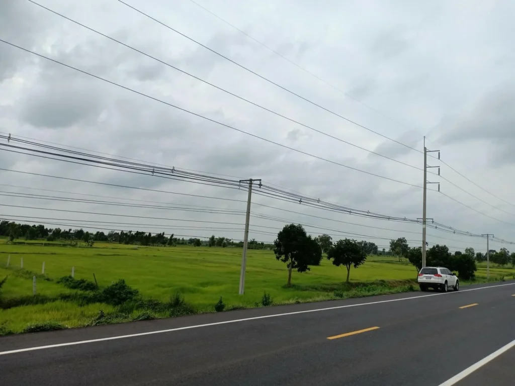 ขายที่ดิน ที่นาติดถนนหลวง266 ทำเลดีมาก จำนวน6ไร่172ตรว