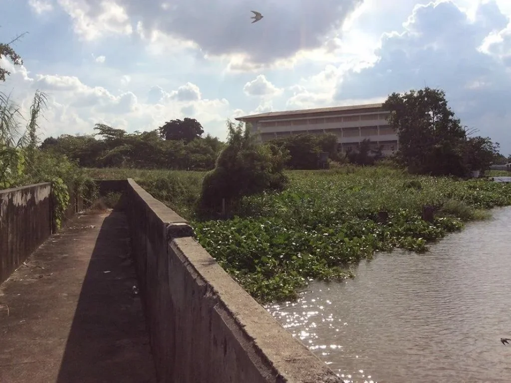 ขายที่ดินติดแม่น้ำเจ้าพระยา อยู่ในซอยวัดสลักเหนือ ตบ้านใหม่ อปากเกร็ด จนนทบุรี