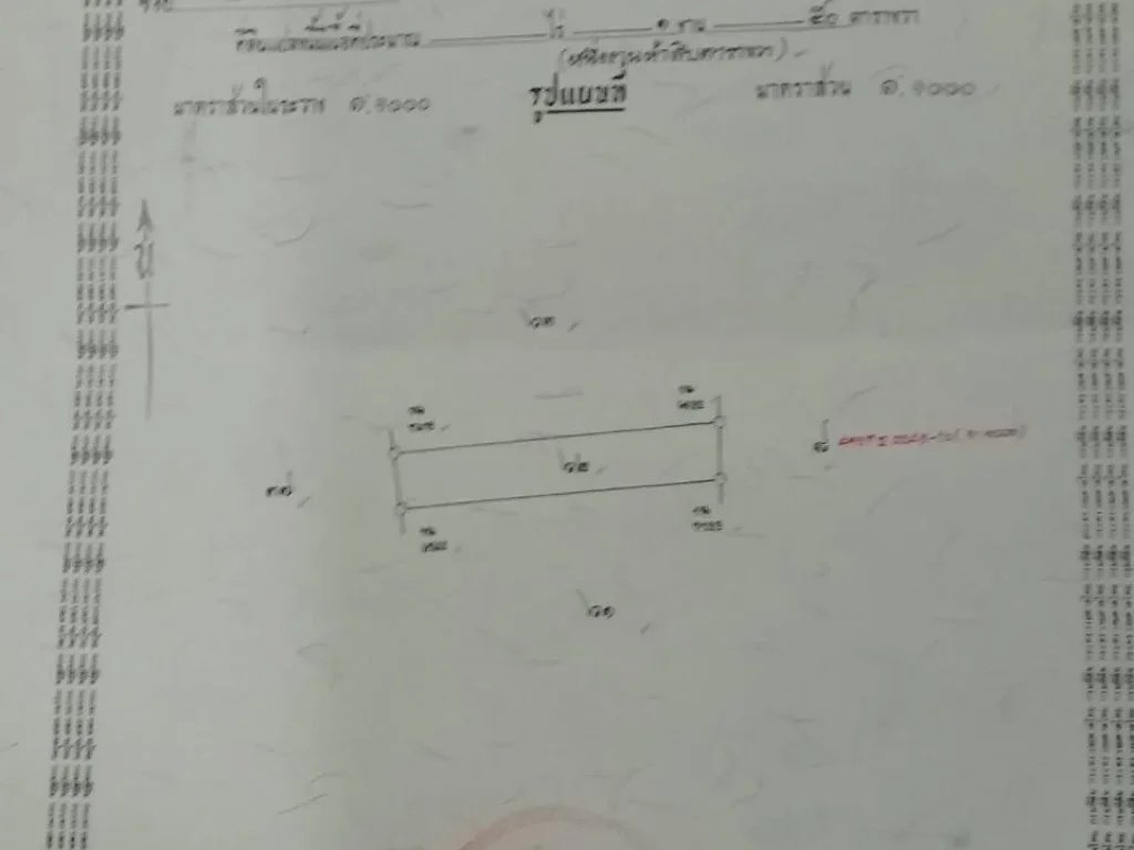 ด่วนๆๆขายถูกขายที่ดิน1งาน50ตารางวาเหมาะปลูกบ้านขายราคาถูกสุดๆๆพร้อมโอน