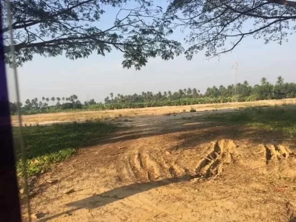 ที่ดินติดถนนชลประทานสาย 2 ทางไปหาดปึกเตียน ห่างถนนเพชรเกษม 3กิโล