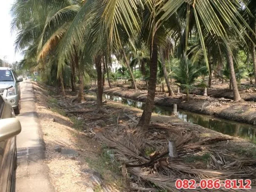 ขายที่ดินกรุงเทพ เขตราษฎร์บูรณะ ที่ดินสุขสวัสดิ์ 30 ที่ดินสวยติดถนนซอย เหมาะสำหรับอยู่อาศัยใกล้ตัวเมือง