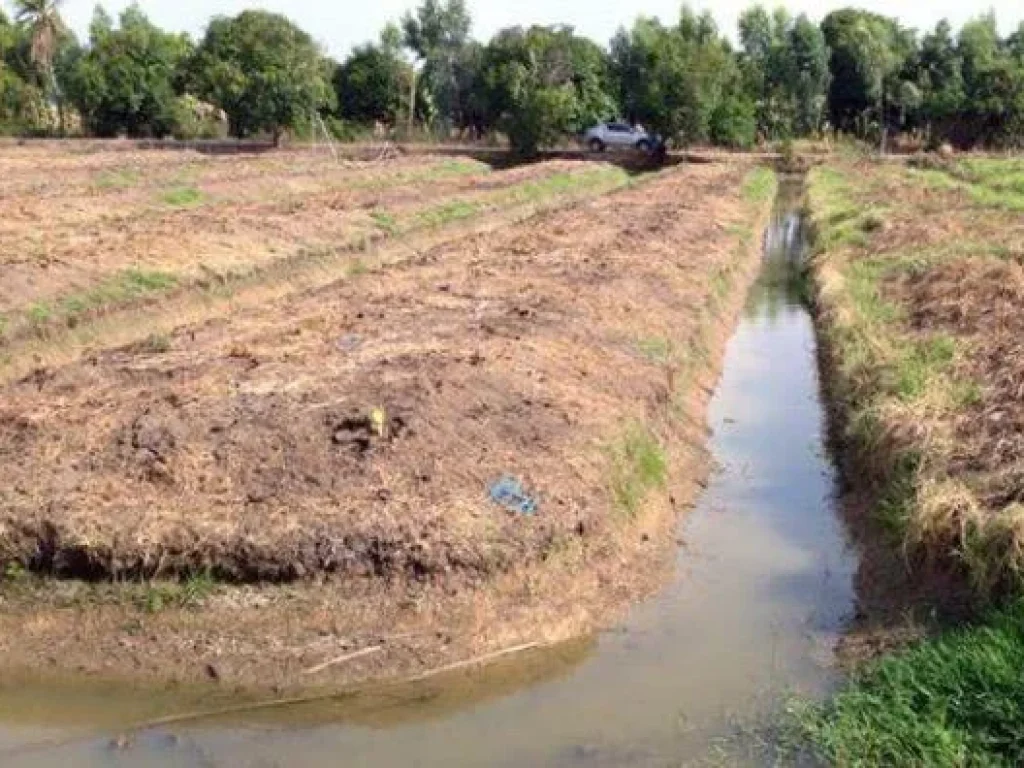 ที่ดินโฉนด 3 ไร่ ร่องสวน คลองสิบสอง