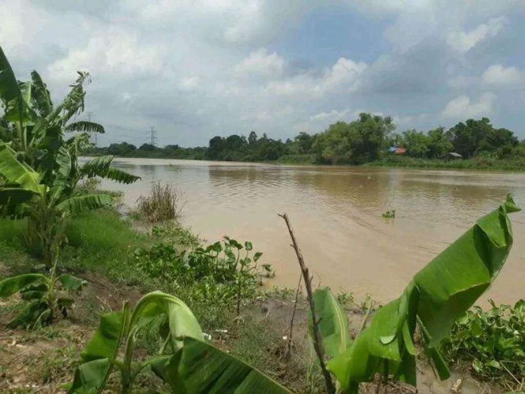 ขาย ที่ดินเปล่าติดริมแม่น้ำน้อย สภาพพื้นนา หน้าแม่น้ำกว้าง 33 ม หันทิศตะวันตก หน้าติดถนนสาธารณะ 33 มลึก 200ม เขตขุ