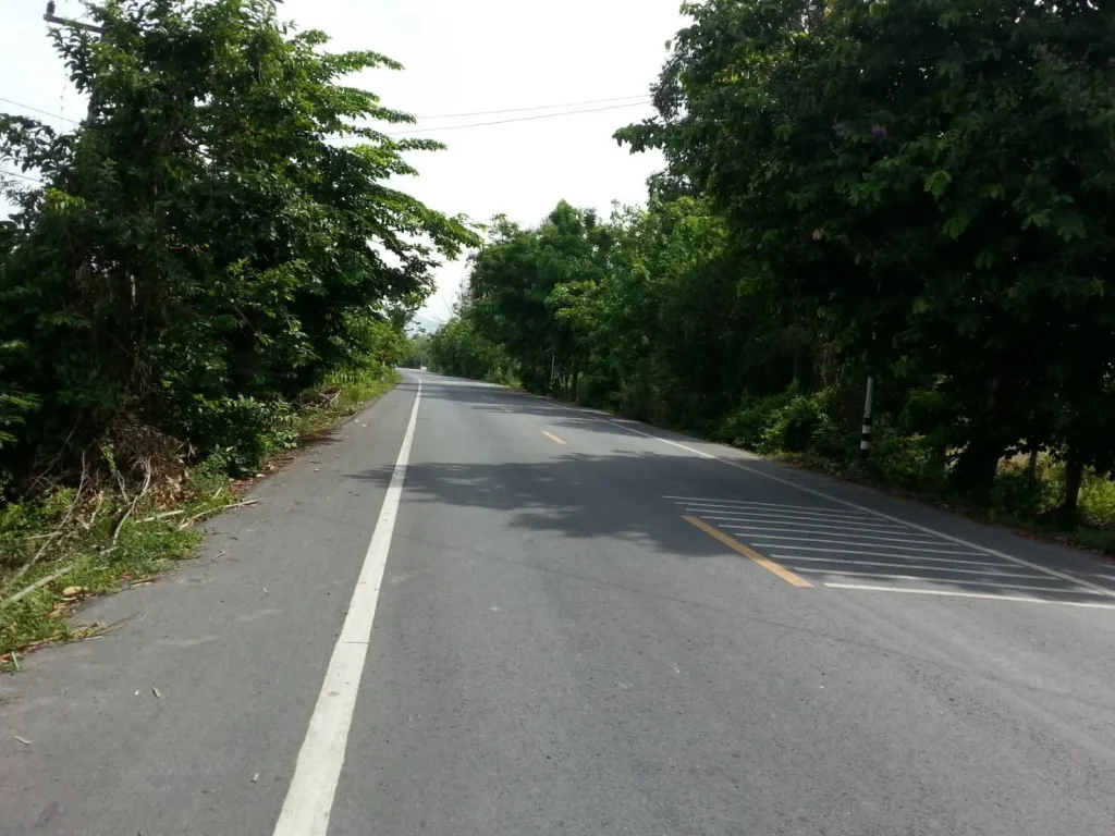 ที่ดินสวนใกล้ถนนสายหลักสุวรรณศร