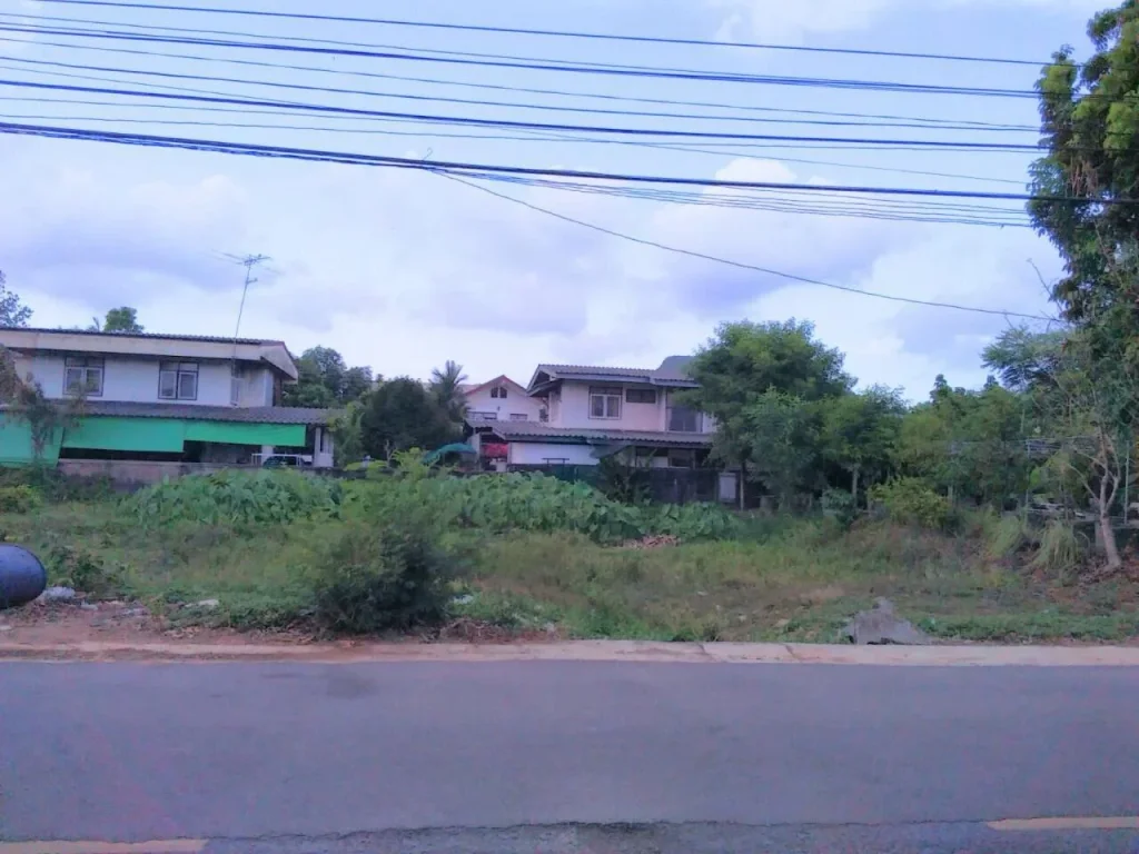 ขายที่ดินกลางเมืองพัทลุง ซอยเทพทิพพาอุทิศ หน้าโรงเรียนพัทลุง ใกล้โรงพยาบาล