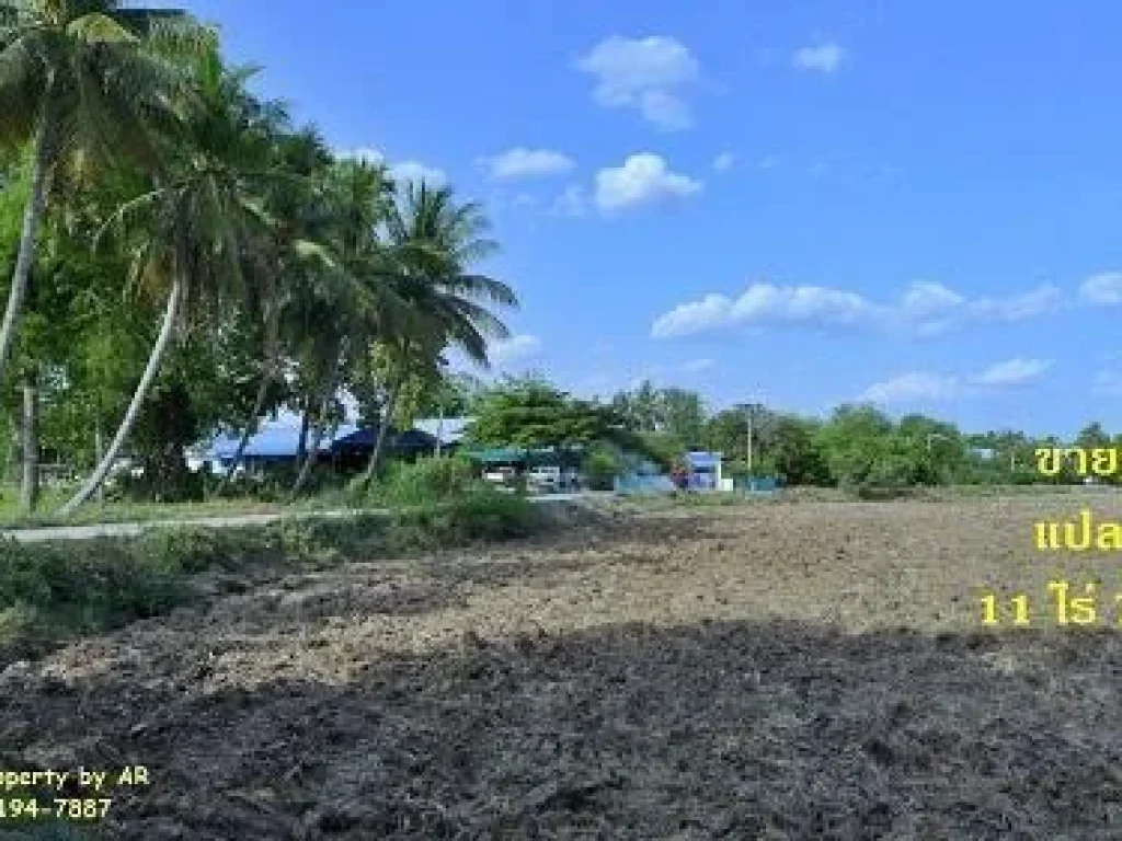 ขายที่ดินย่านชุมชนวัดโพธิ์ท่าทราย สุพรรณฯ