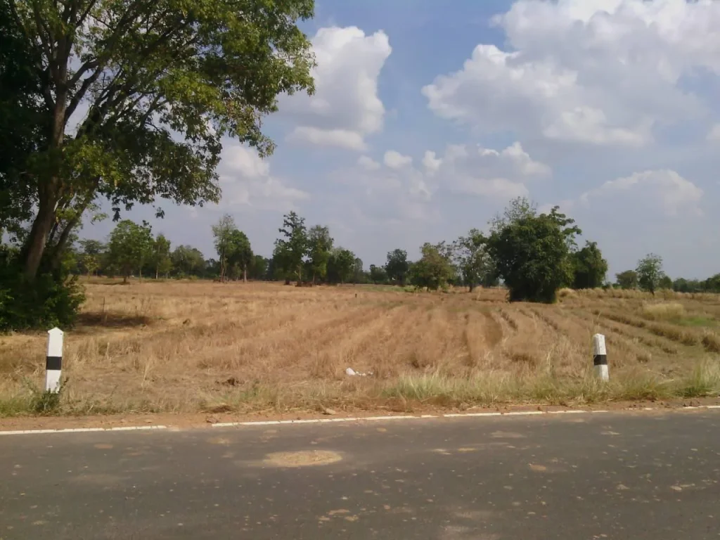 ขายที่ดิน บ้านหนองไทร ตชุมเห็ด อเมือง จวบุรีรัมย์ ราคาถูก 1 ไร่