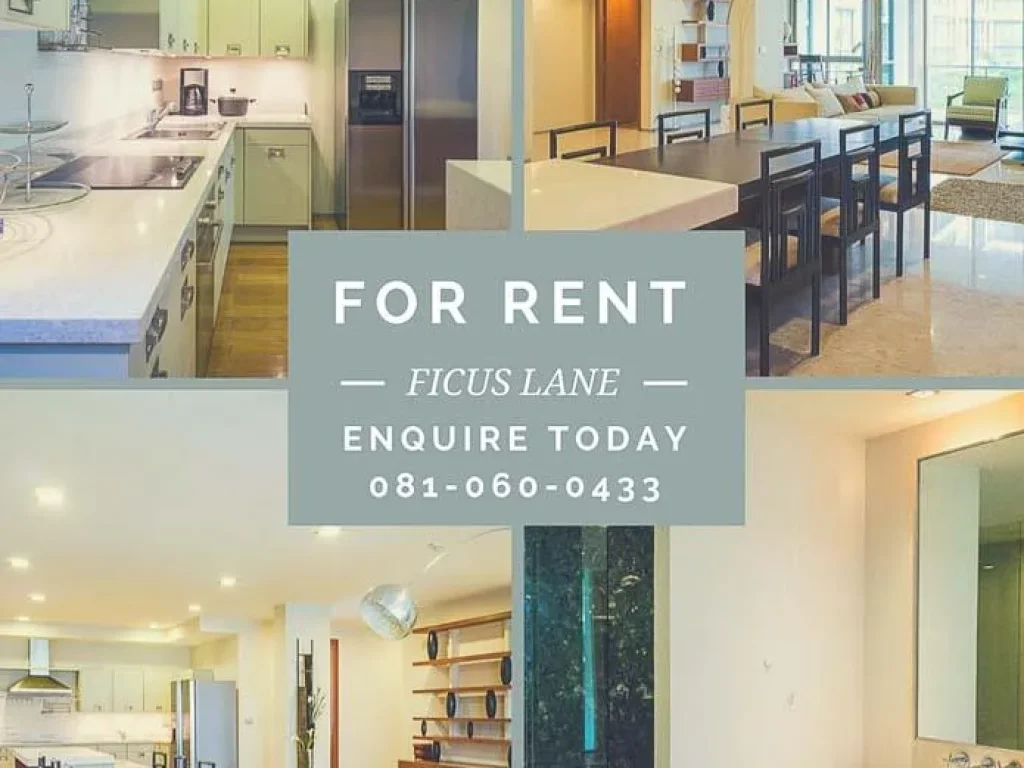 Condo For Rent 3bed Ficus Lane Sukhumvit 441 210SQM 2467011 Pic