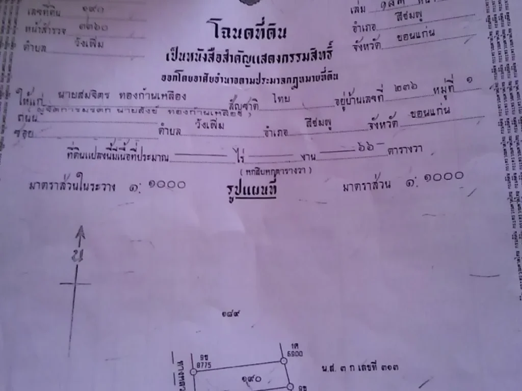 ที่ดินหลังตลาดสดเทศบาล 66 ตารางวา ฉโนด เจ้าของอยากขายด่วนไม่ผ่านนายหน้า